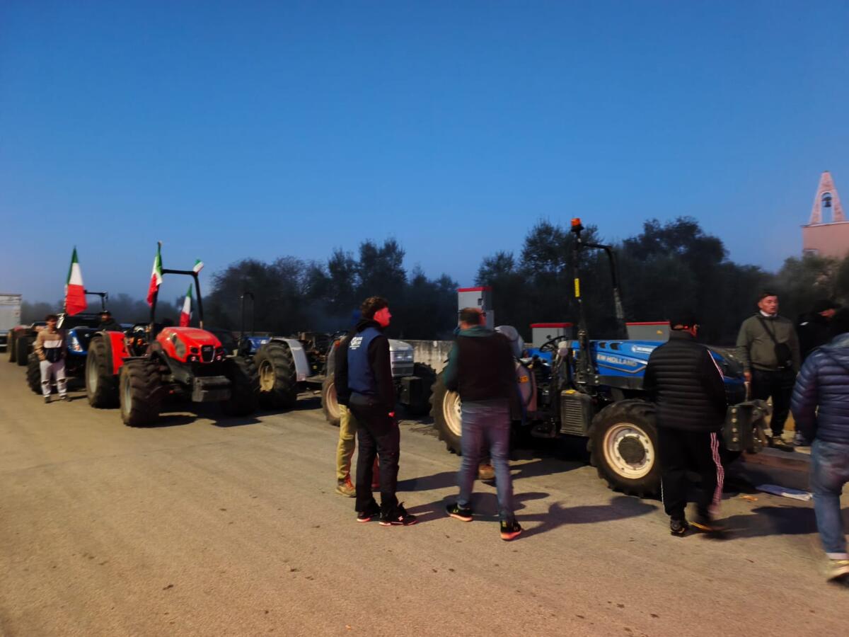 Caro vita, le proteste non si fermano in Puglia: agricoltori e autotrasportatori in piazza a Bitonto – FOTO e VIDEO