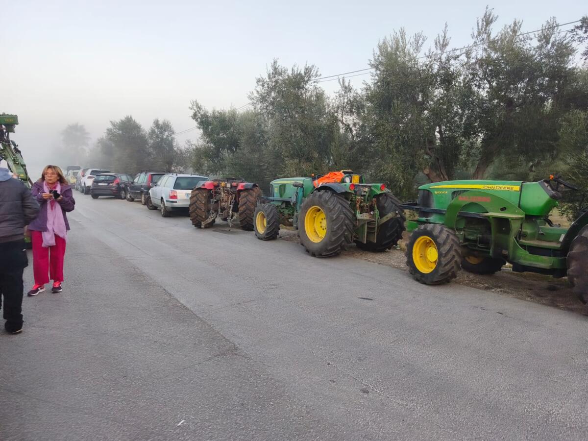 Caro vita, le proteste non si fermano in Puglia: agricoltori e autotrasportatori in piazza a Bitonto – FOTO e VIDEO