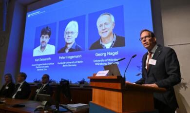 Nobel per la Medicina 2026 a Deisseroth, Hegemann e Nagel
