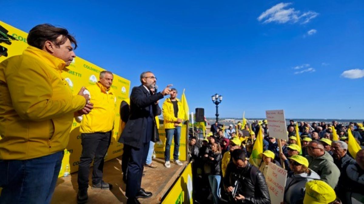 Agricoltori in piazza a Bari, Paolicelli: «Dalla Regione 30 milioni di euro di aiuti per il settore» Agricoltori in piazza a Bari, Paolicelli: «Dalla Regione 30 milioni di euro di aiuti per il settore»