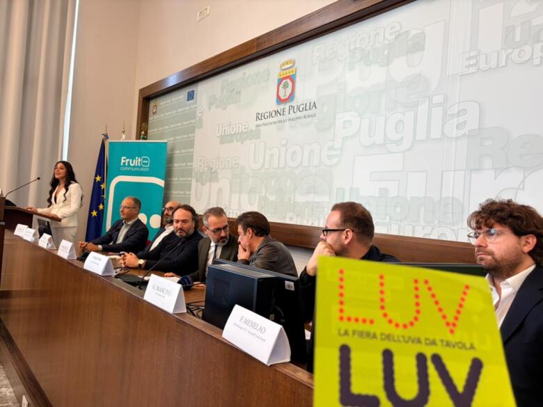 conferenza stampa presentazione luv