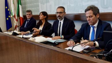 Lotta alla Xylella, in Puglia 30 milioni per la rigenerazione: nuovo bando per oliveti e riconversione – VIDEO