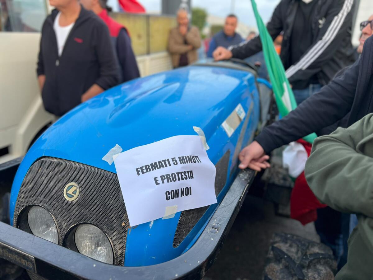 Caro vita, non si fermano le proteste in Puglia: presìdio di agricoltori e autotrasportatori a Trani – FOTO e VIDEO Caro vita, non si fermano le proteste in Puglia: presìdio di agricoltori e autotrasportatori a Trani – FOTO e VIDEO