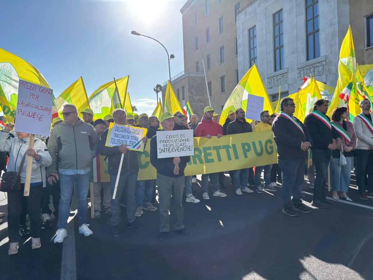 Bari, migliaia di olivicoltori in piazza: «Agricoltura in stato di calamità». Strada bloccata con i trattori Bari, migliaia di olivicoltori in piazza: «Agricoltura in stato di calamità». Strada bloccata con i trattori